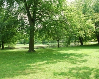 DSC_3801d.jpg
